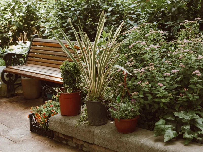Build It Loose: Why Adaptable Softscape Design Outsmarts Rigid Outdoor Plans on Ozark Land